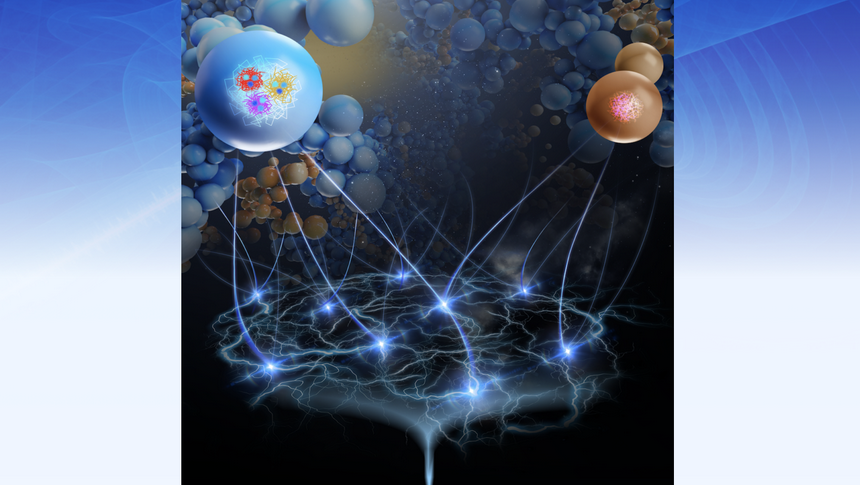 研究 科学 生活 所 品質